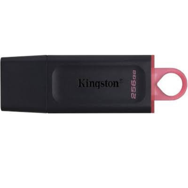 Kingston DataTraveler Exodia 256GB USB 3.2 Gen 1 Flash Drive High-Speed, Durable